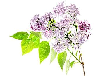 坤哥：《龙珠：电光火石0》终极版售价110美元